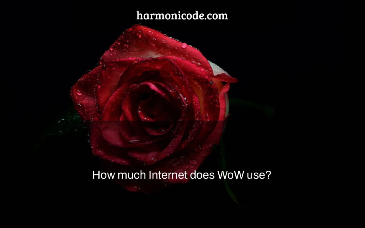 How much Internet does WoW use?