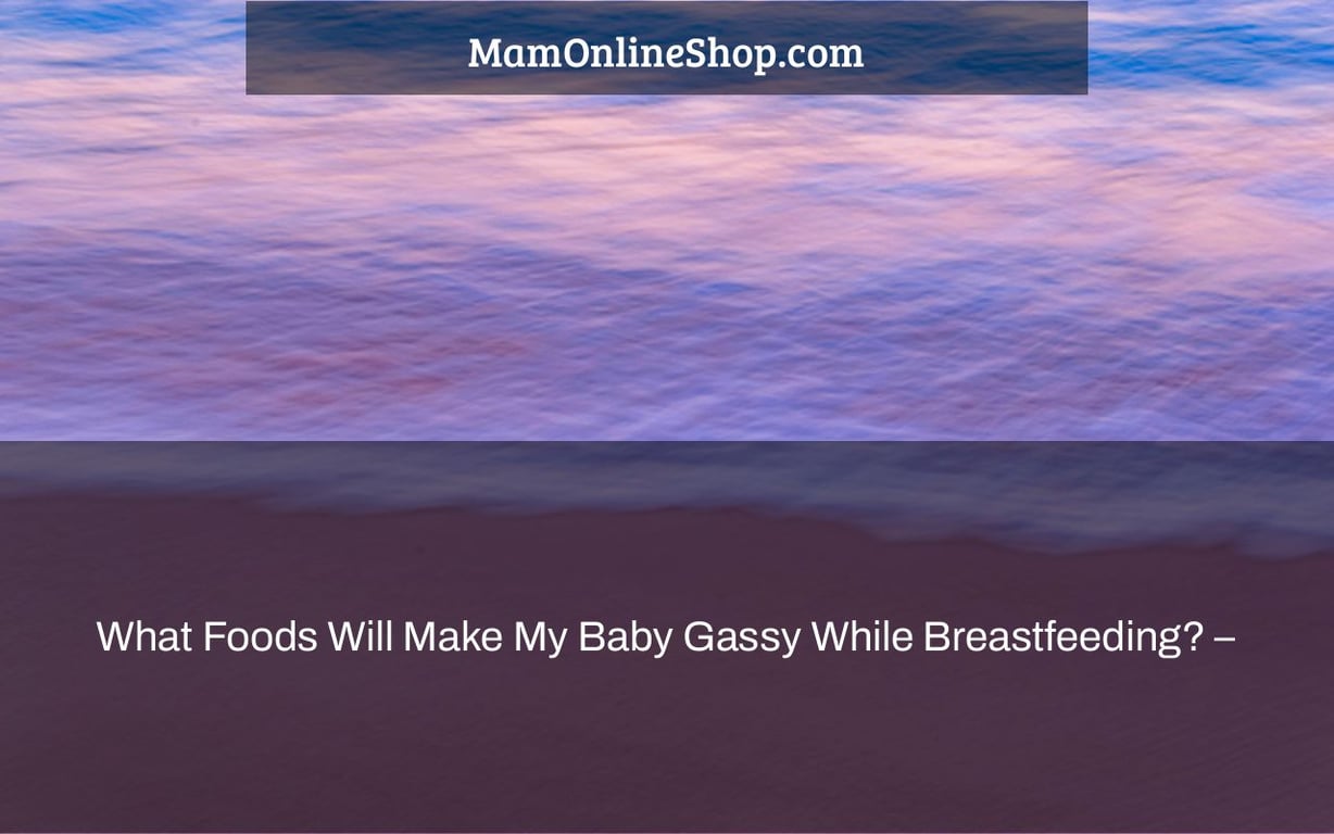 What Foods Will Make My Baby Gassy While Breastfeeding? –