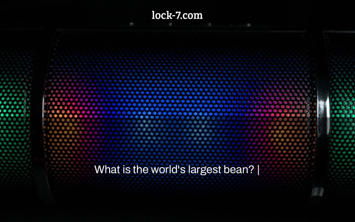 What is the world's largest bean? |