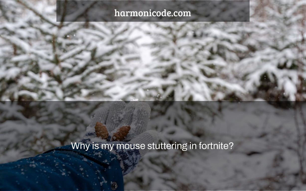 Why is my mouse stuttering in fortnite?