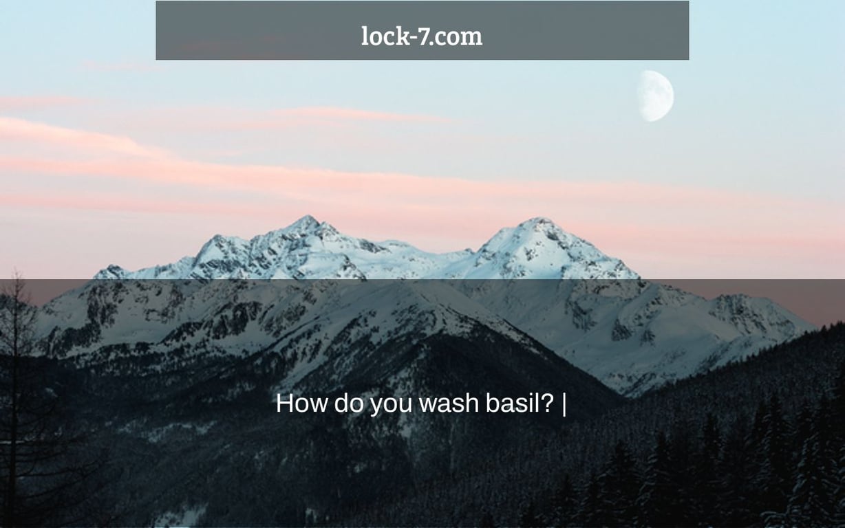 How do you wash basil? |