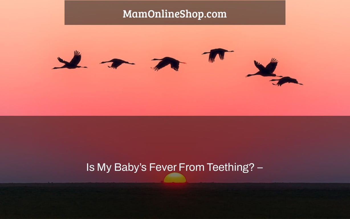Is My Baby’s Fever From Teething? –
