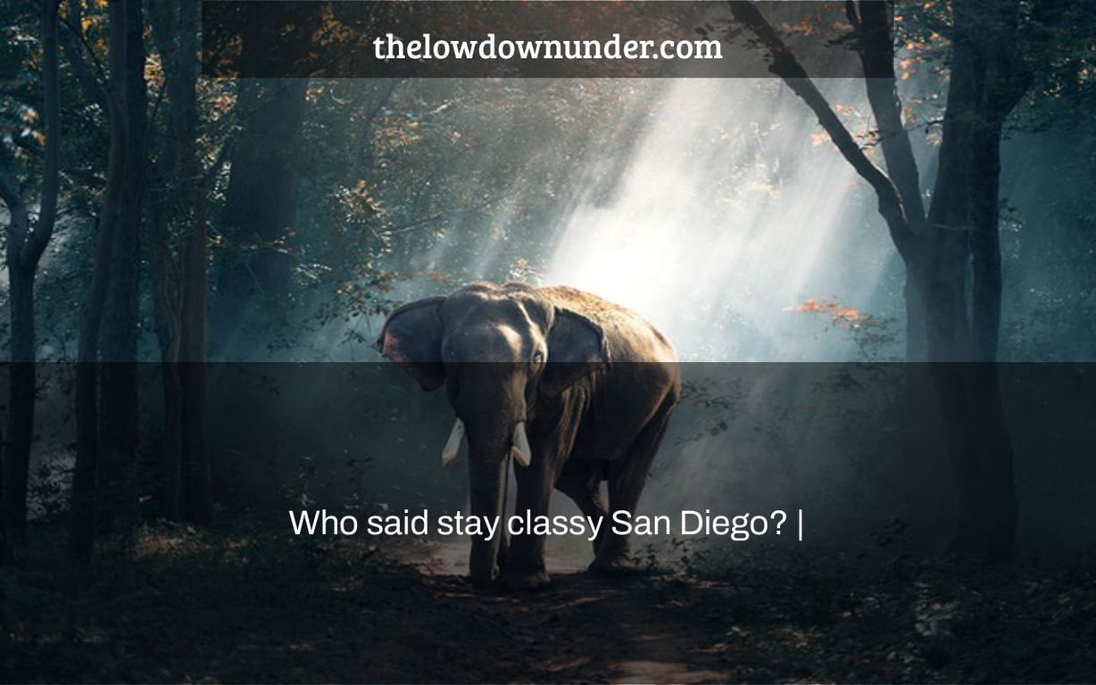 Who said stay classy San Diego? |