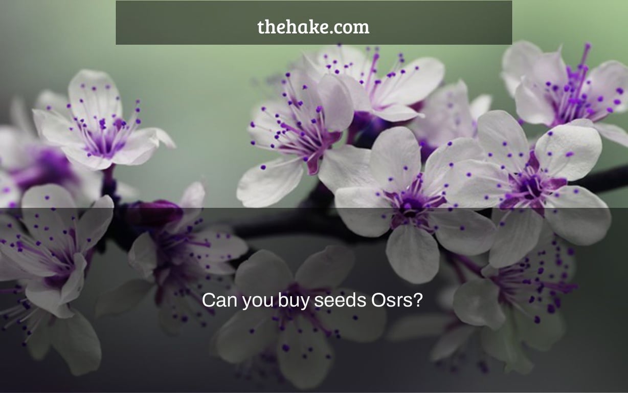 Can you buy seeds Osrs?