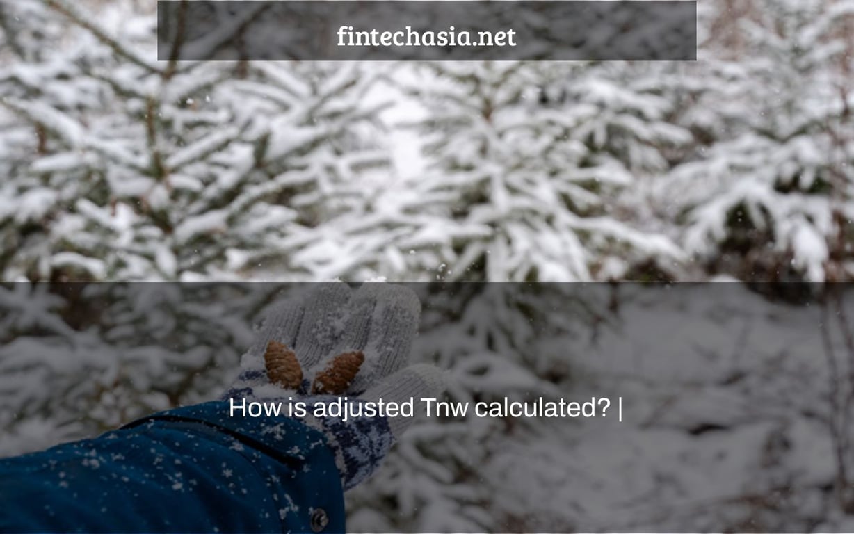How is adjusted Tnw calculated? |