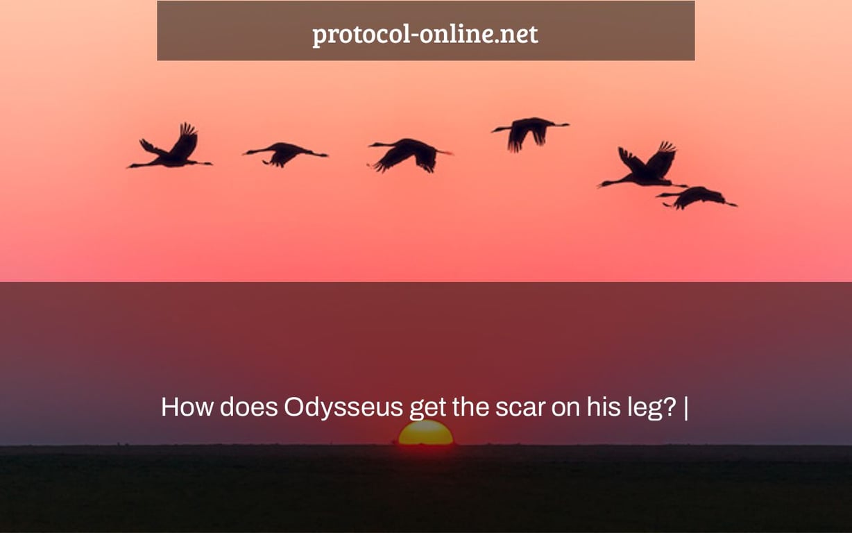 How does Odysseus get the scar on his leg? |