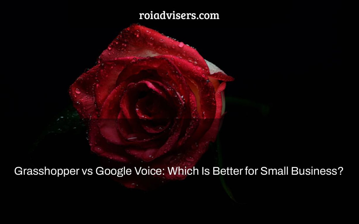 Grasshopper vs Google Voice: Which Is Better for Small Business?