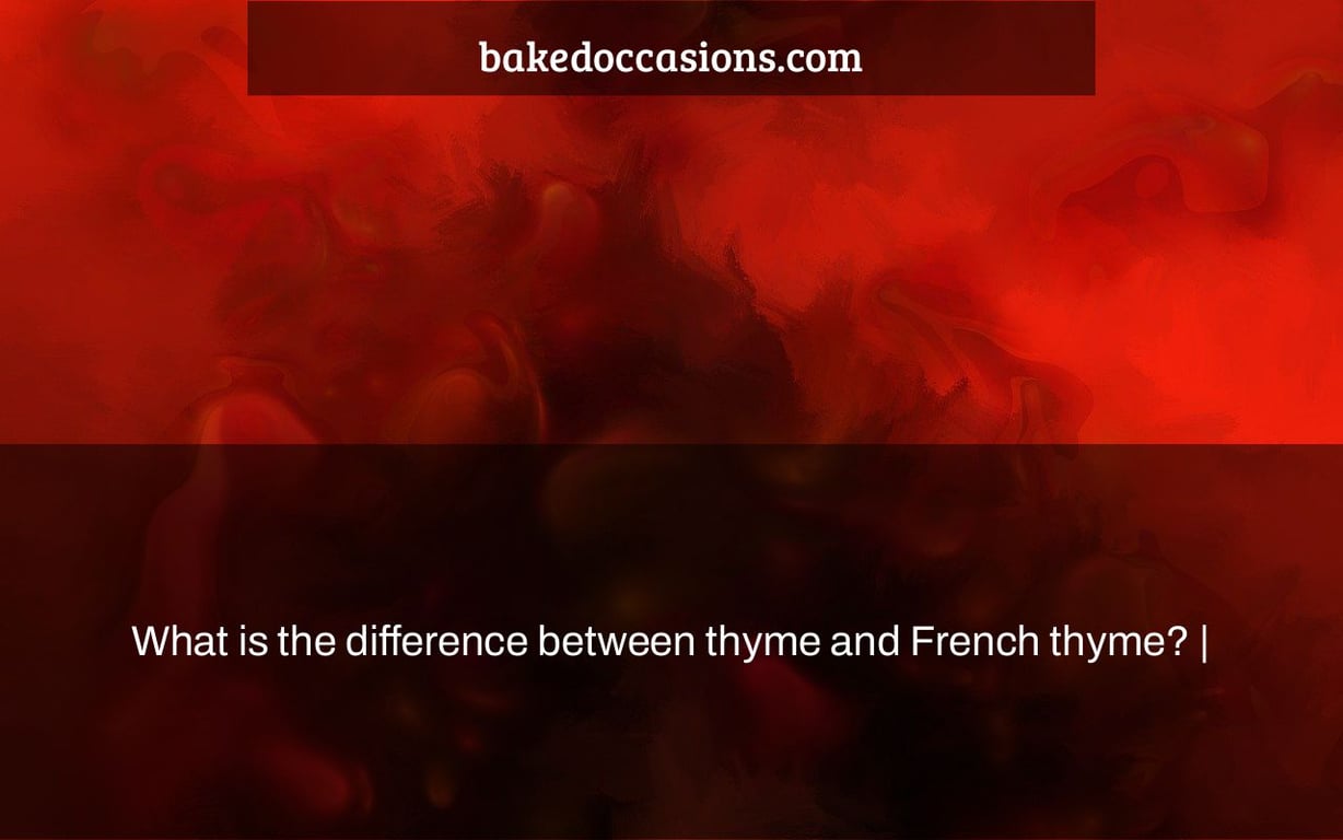 What is the difference between thyme and French thyme? |