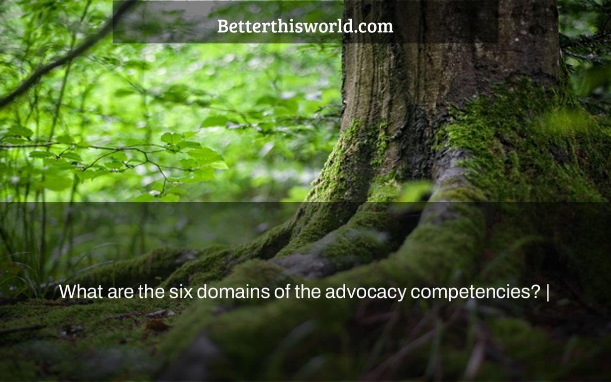 What are the six domains of the advocacy competencies? |