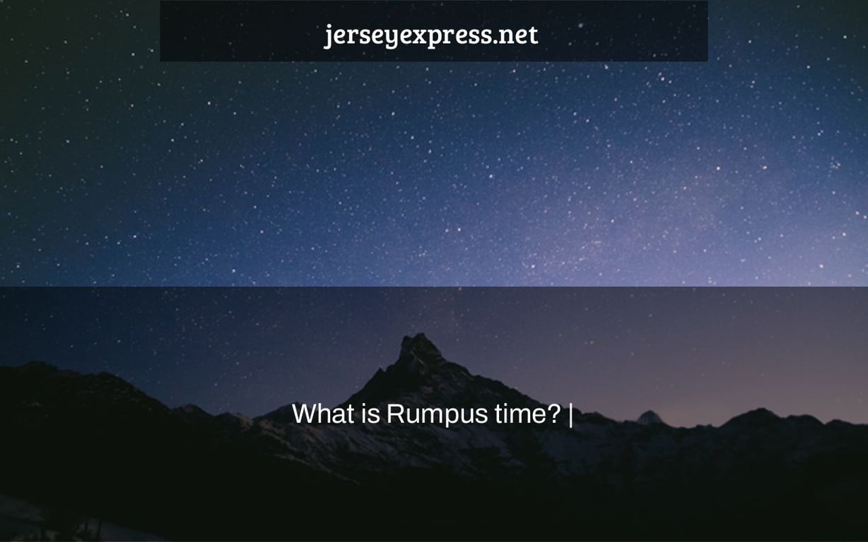 What is Rumpus time? |