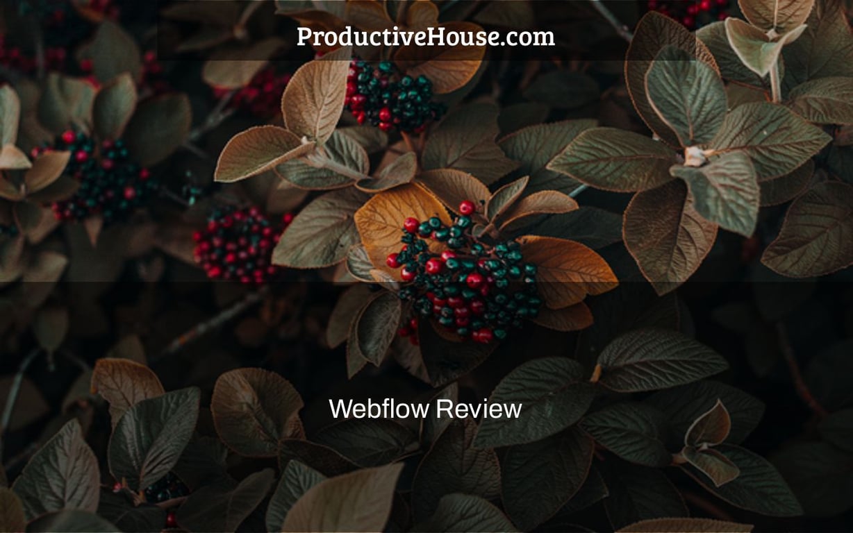 Webflow Review