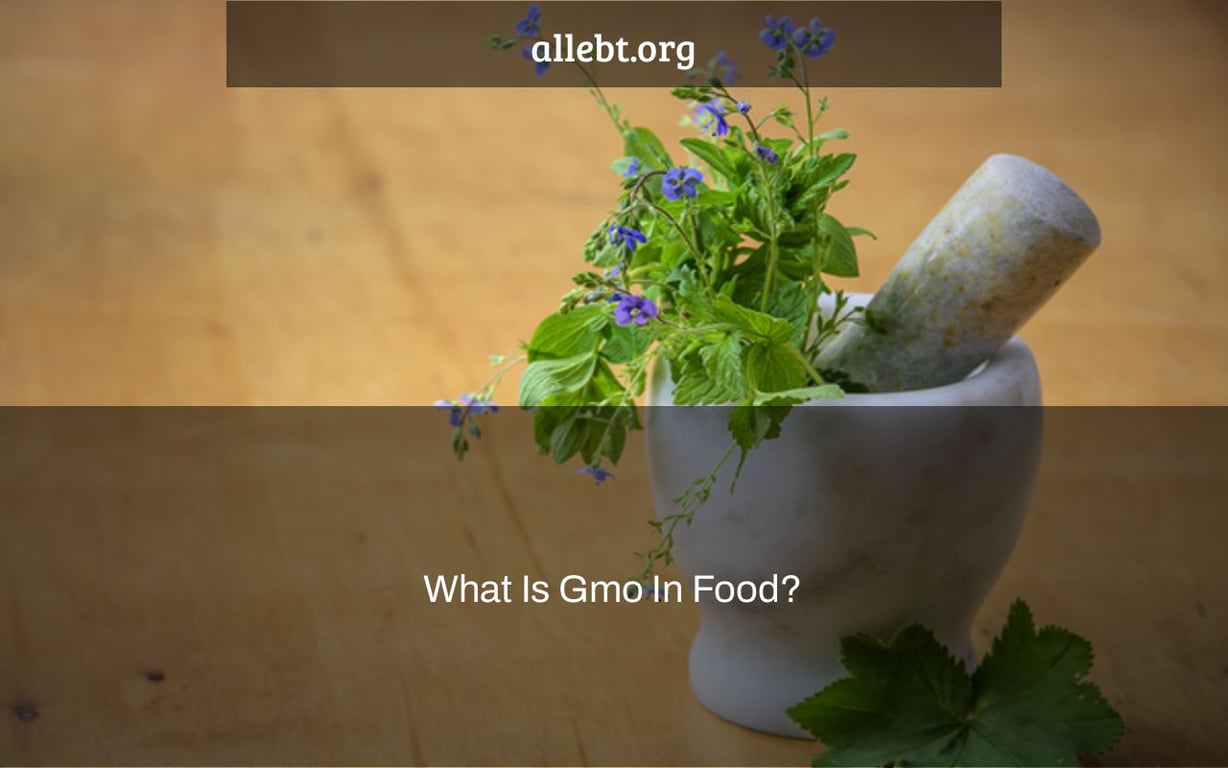 What Is Gmo In Food?