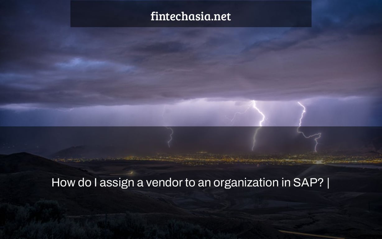 How do I assign a vendor to an organization in SAP? |