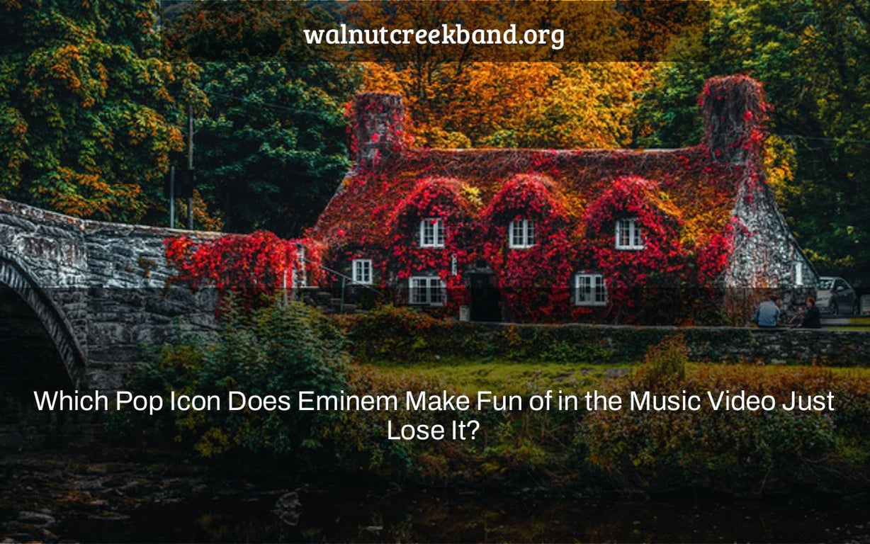 Which Pop Icon Does Eminem Make Fun of in the Music Video Just Lose It?