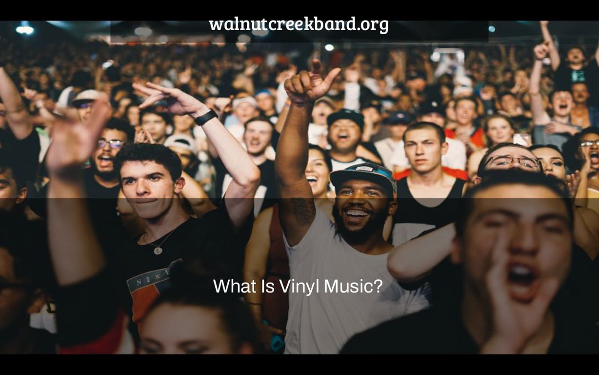 What Is Vinyl Music?