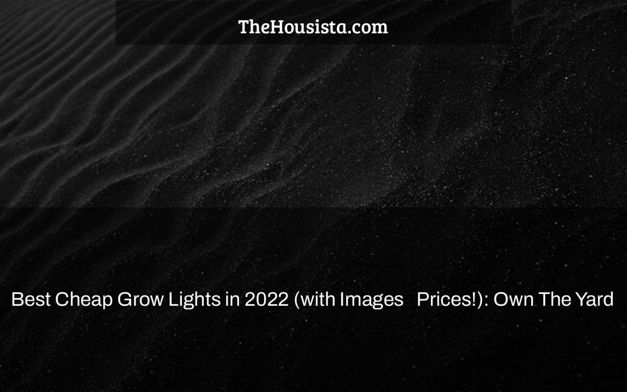Best Cheap Grow Lights in 2022 (with Images + Prices!): Own The Yard