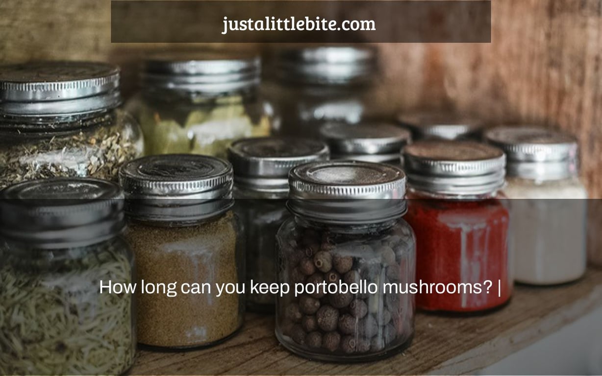 How long can you keep portobello mushrooms? JustALittleBite