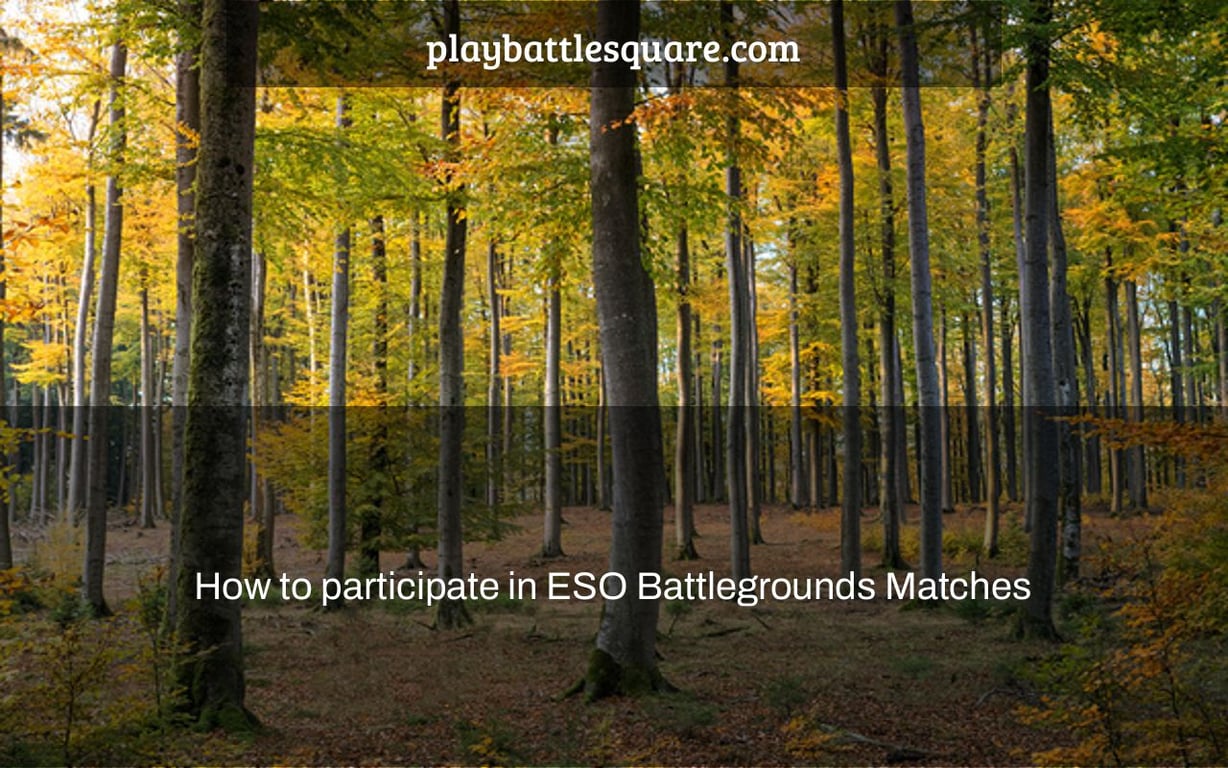 How to participate in ESO Battlegrounds Matches