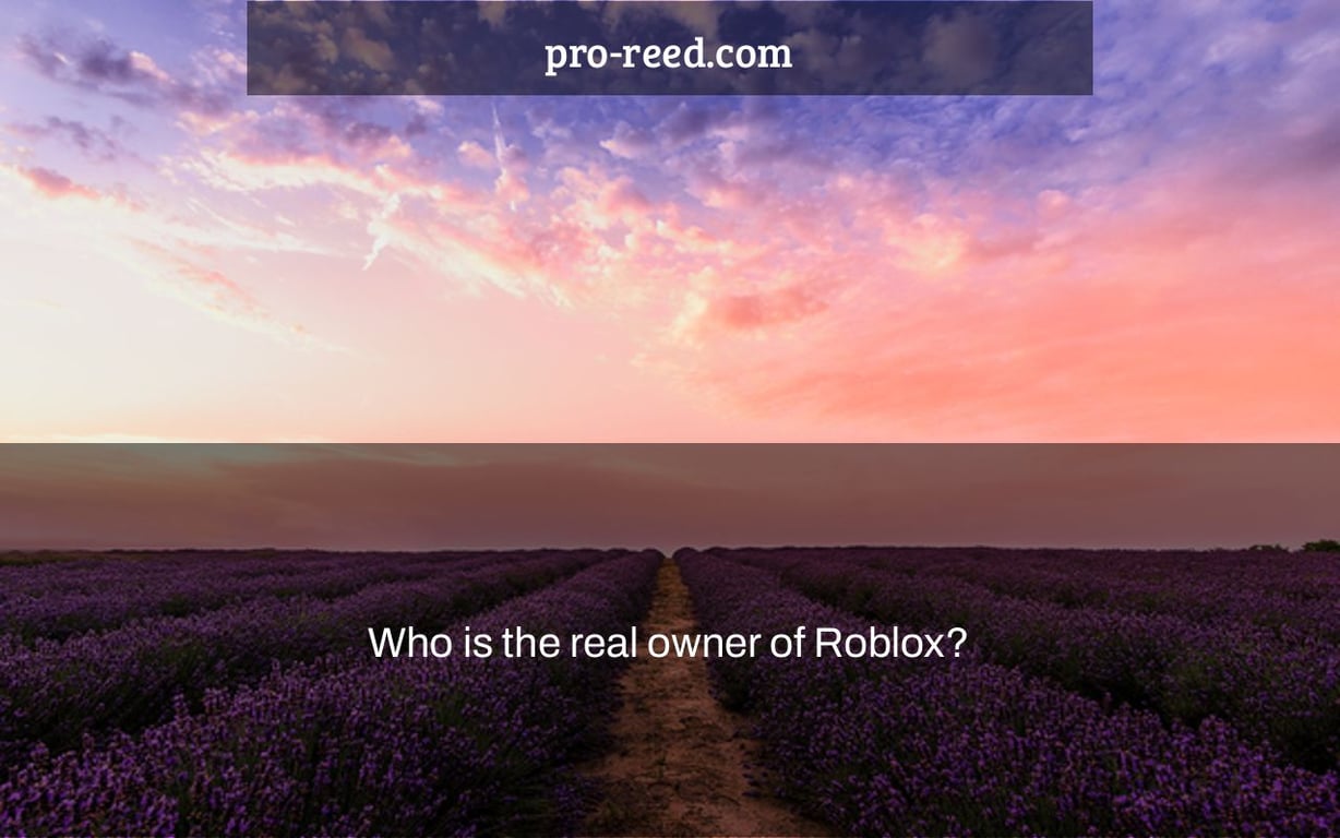 Who is the real owner of Roblox?
