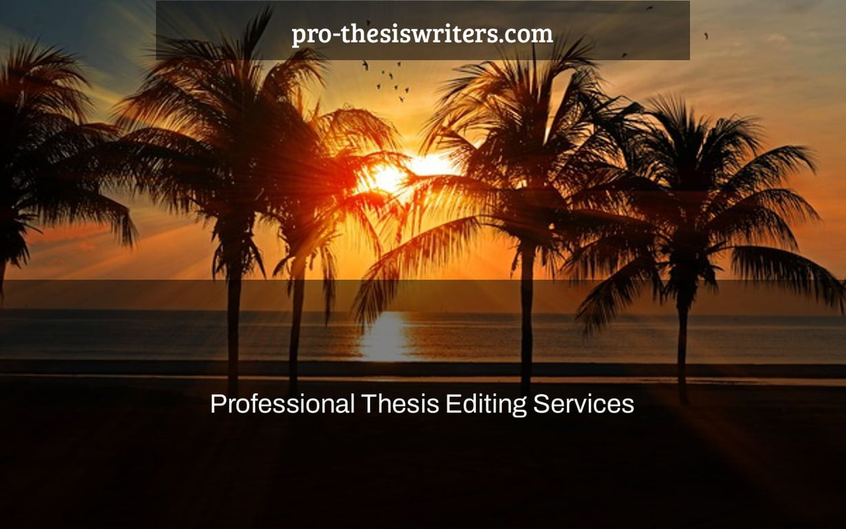 Professional Thesis Editing Services