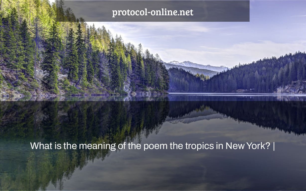 What is the meaning of the poem the tropics in New York? |