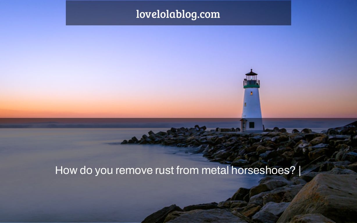 How do you remove rust from metal horseshoes? |