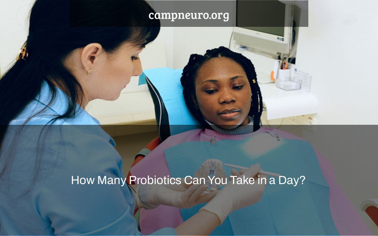 How Many Probiotics Can You Take in a Day? Camp Neuro
