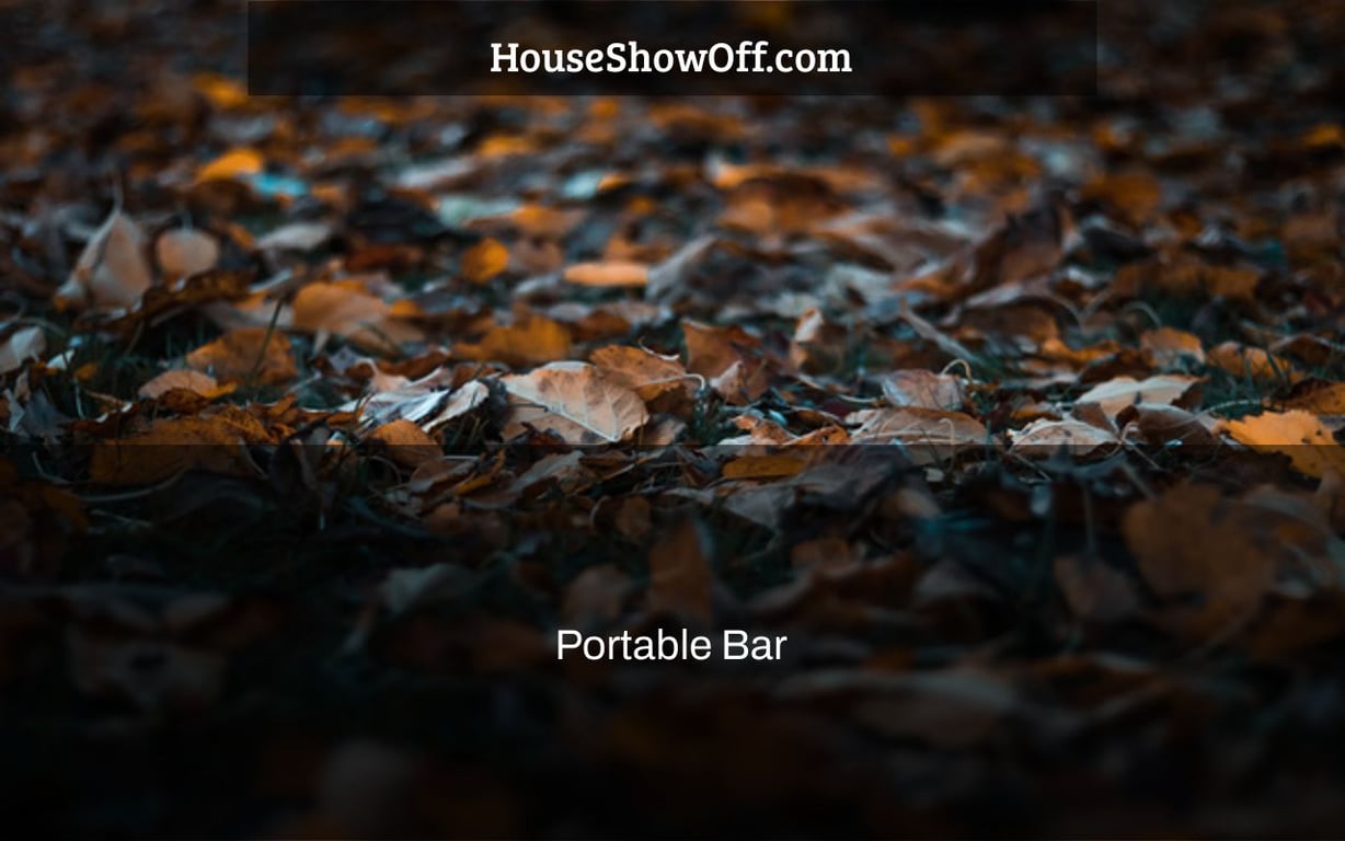 Portable Bar