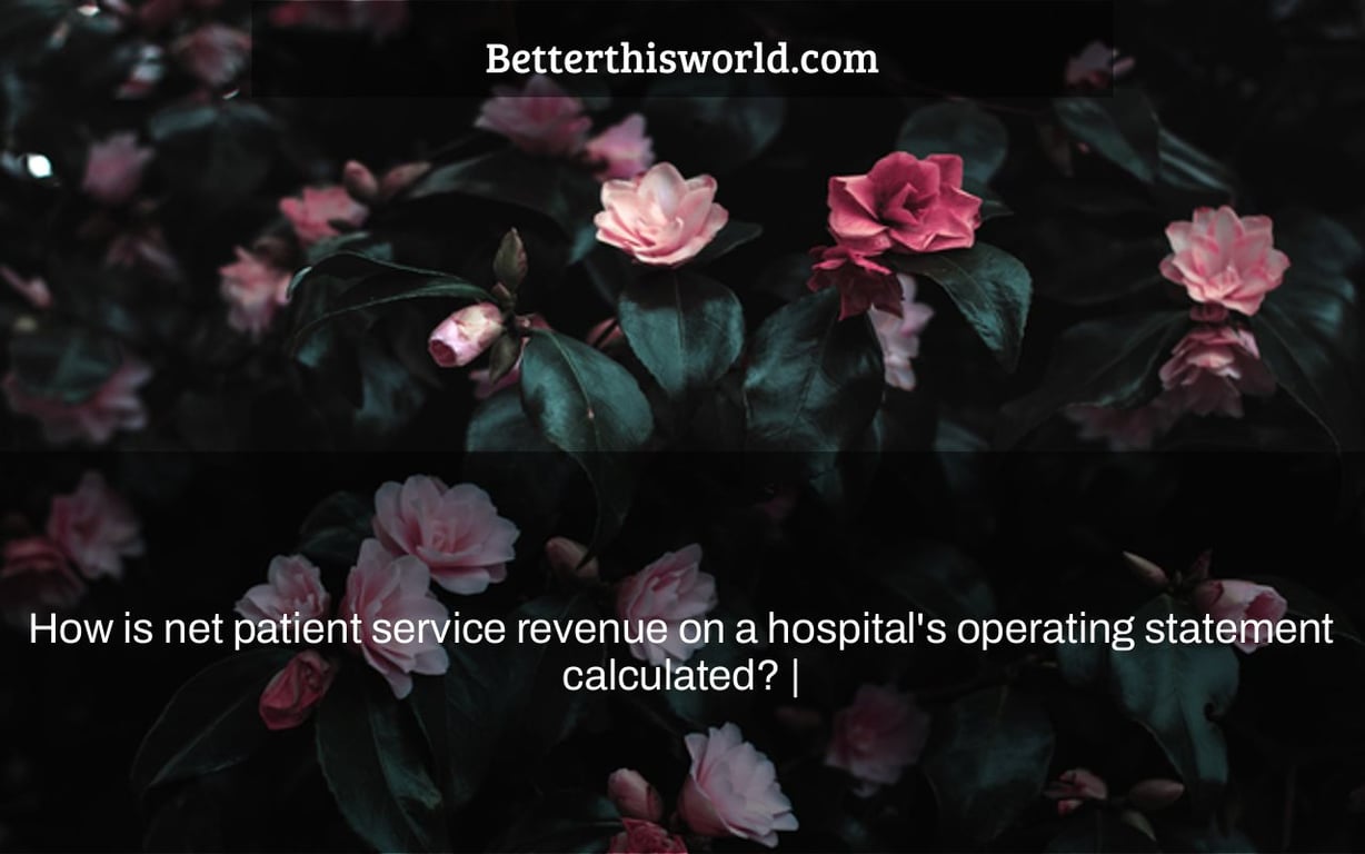 How is net patient service revenue on a hospital's operating statement calculated? |