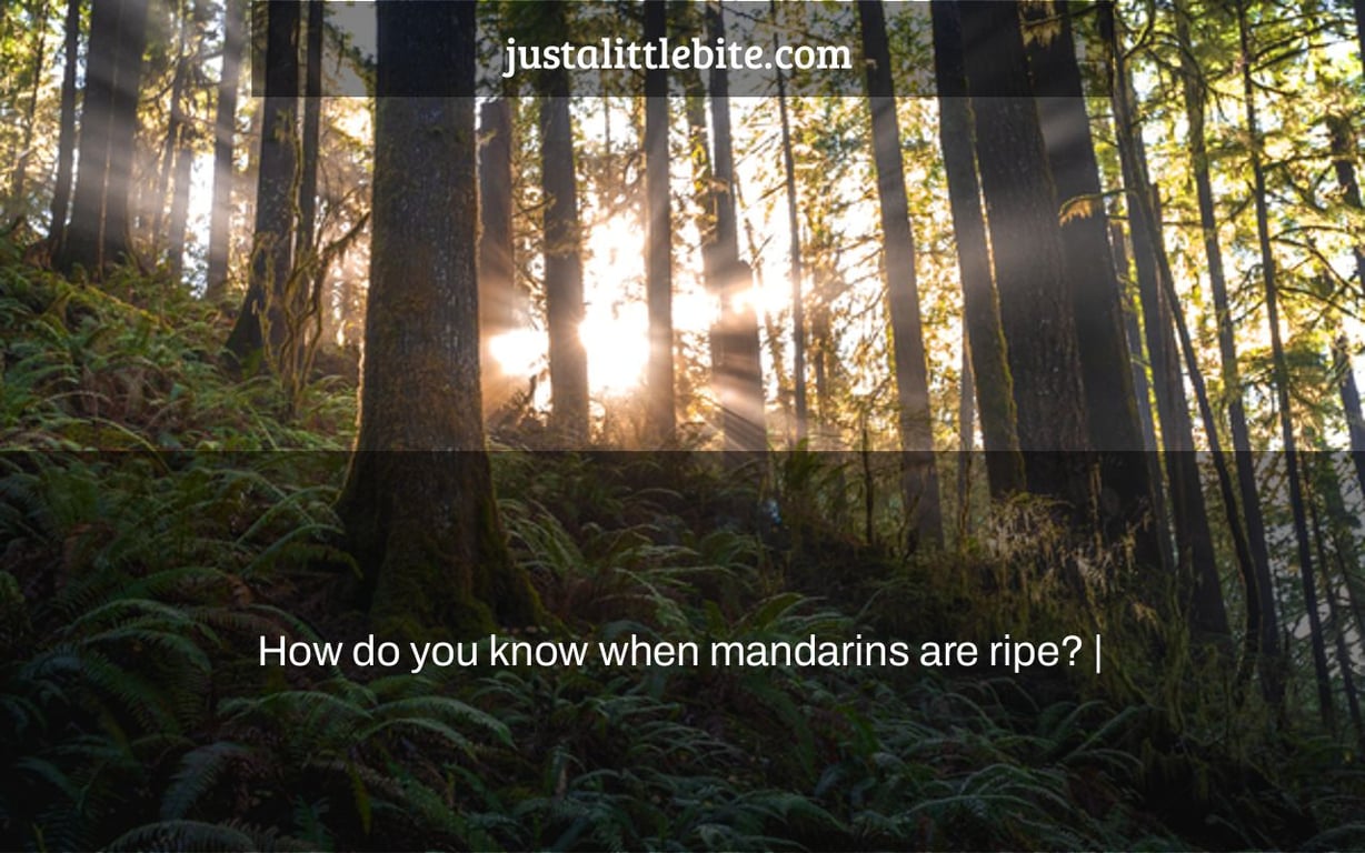 How do you know when mandarins are ripe? |