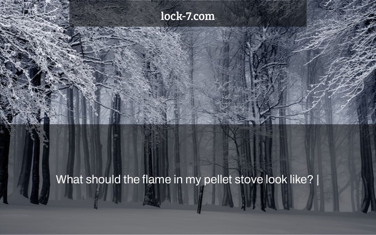 What should the flame in my pellet stove look like? |