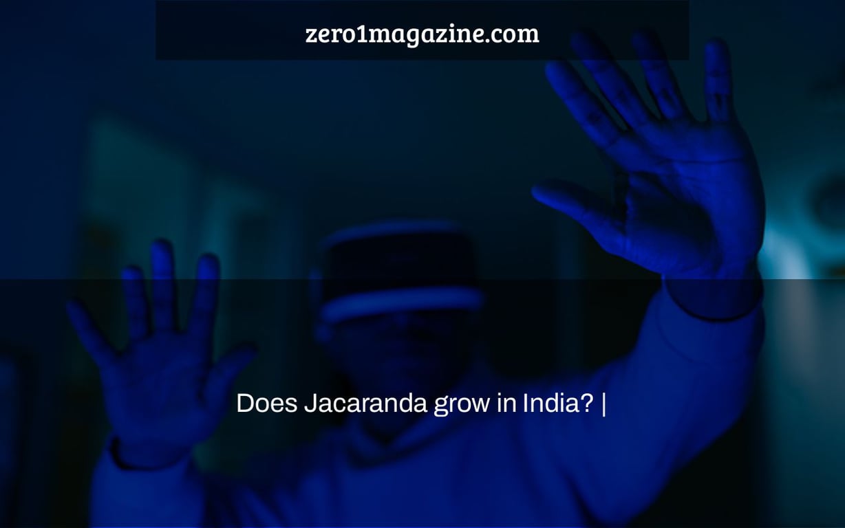 Does Jacaranda grow in India? |