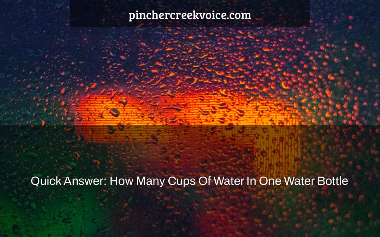 Quick Answer: How Many Cups Of Water In One Water Bottle