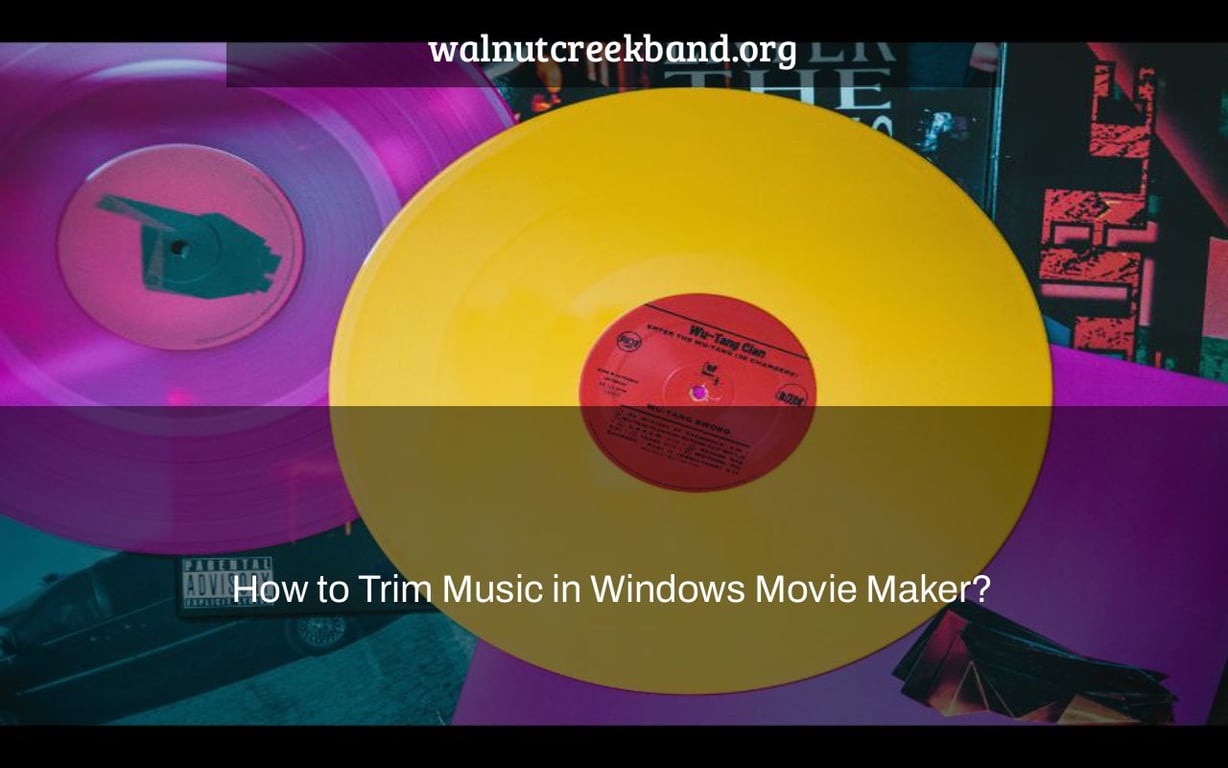 How to Trim Music in Windows Movie Maker?