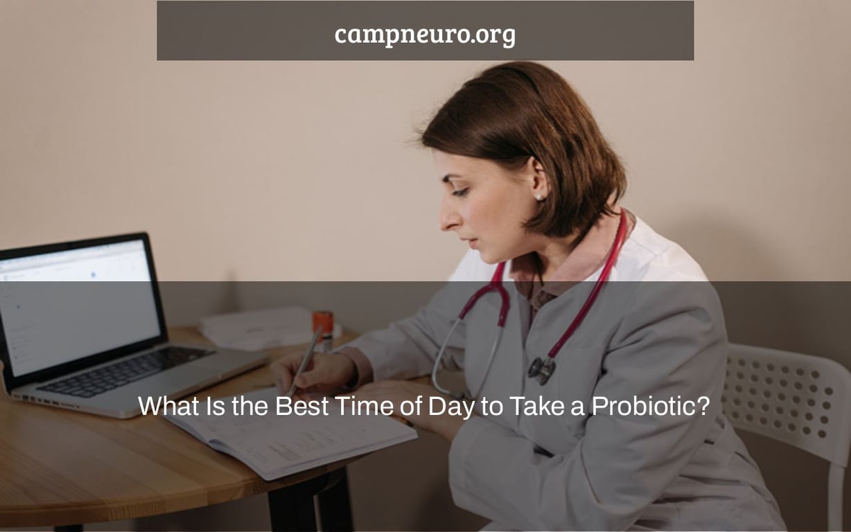 What Is the Best Time of Day to Take a Probiotic? Camp Neuro