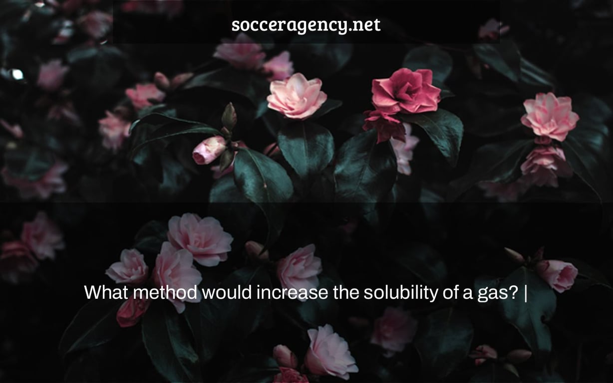 What method would increase the solubility of a gas? |