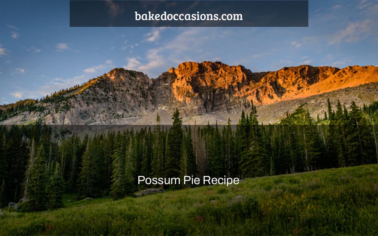 Possum Pie Recipe