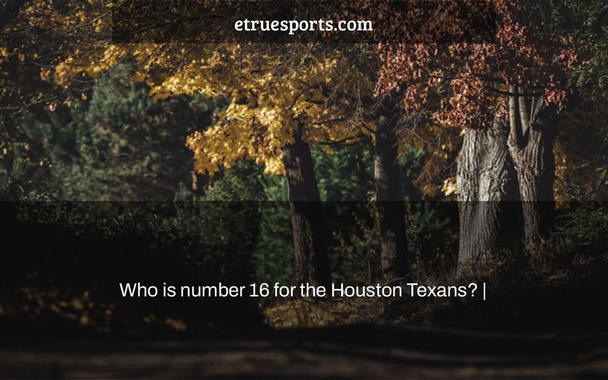 Who is number 16 for the Houston Texans? |