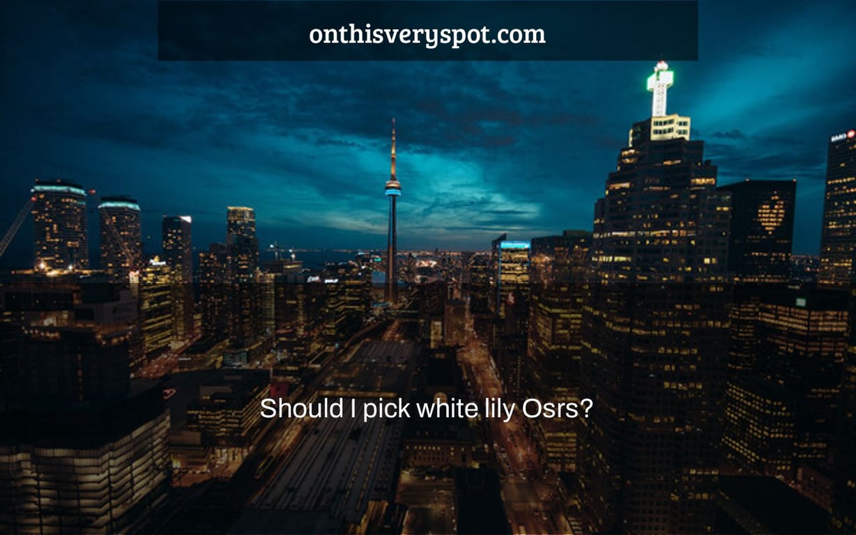 Should I pick white lily Osrs?