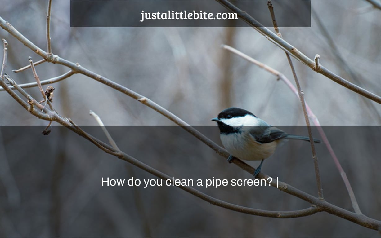 How do you clean a pipe screen? |