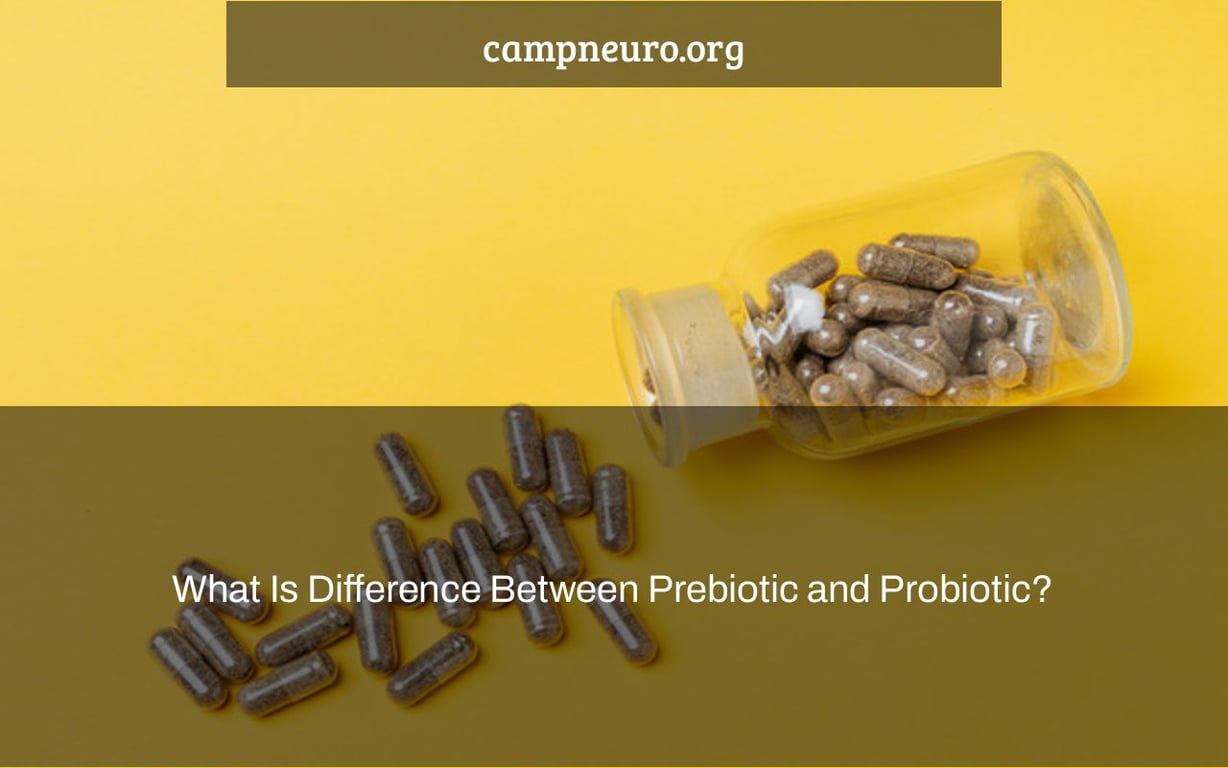 What Is Difference Between Prebiotic and Probiotic?