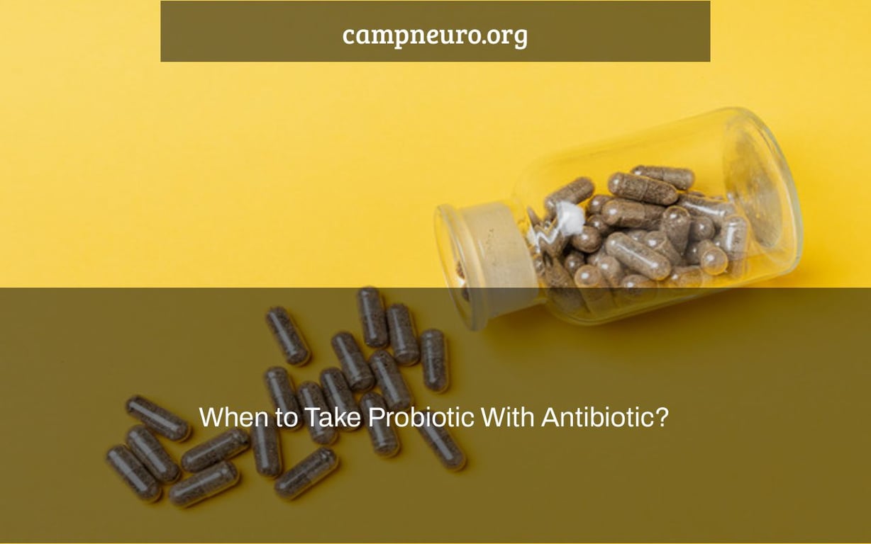 When to Take Probiotic With Antibiotic? Camp Neuro