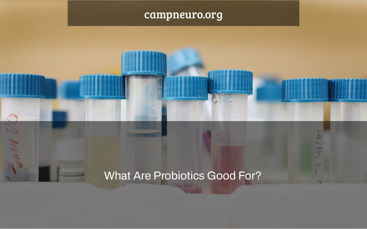 What Are Probiotics Good For?