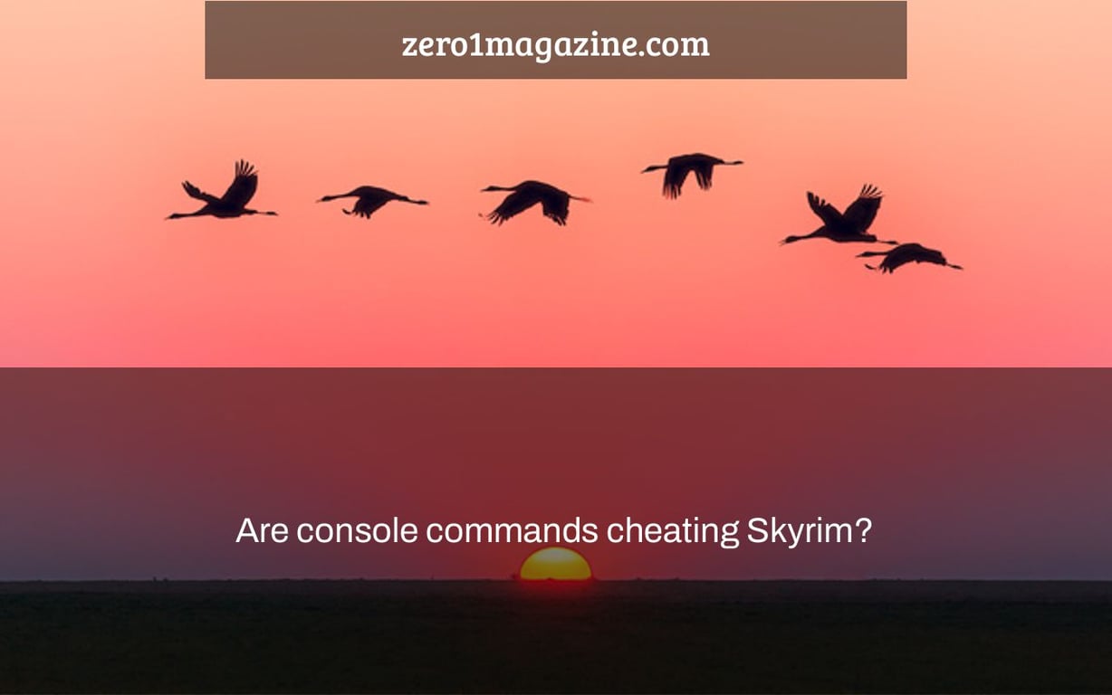 Are console commands cheating Skyrim?