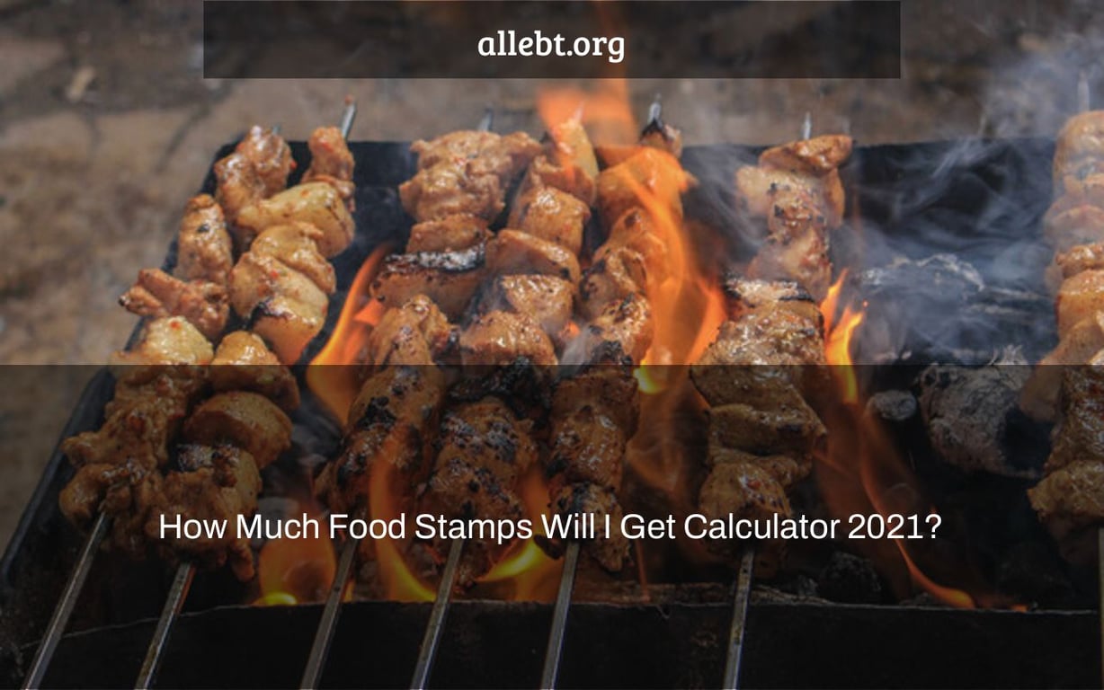 How Much Food Stamps Will I Get Calculator 2021?