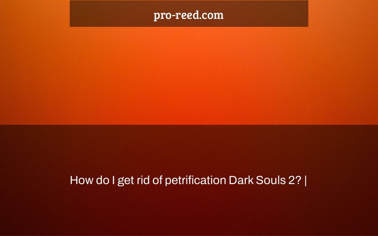 How do I get rid of petrification Dark Souls 2? |