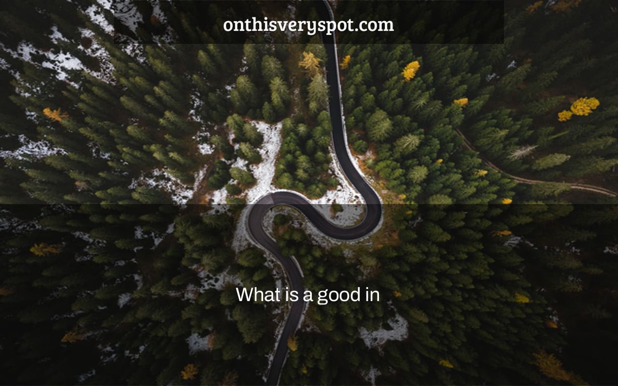 What is a good in