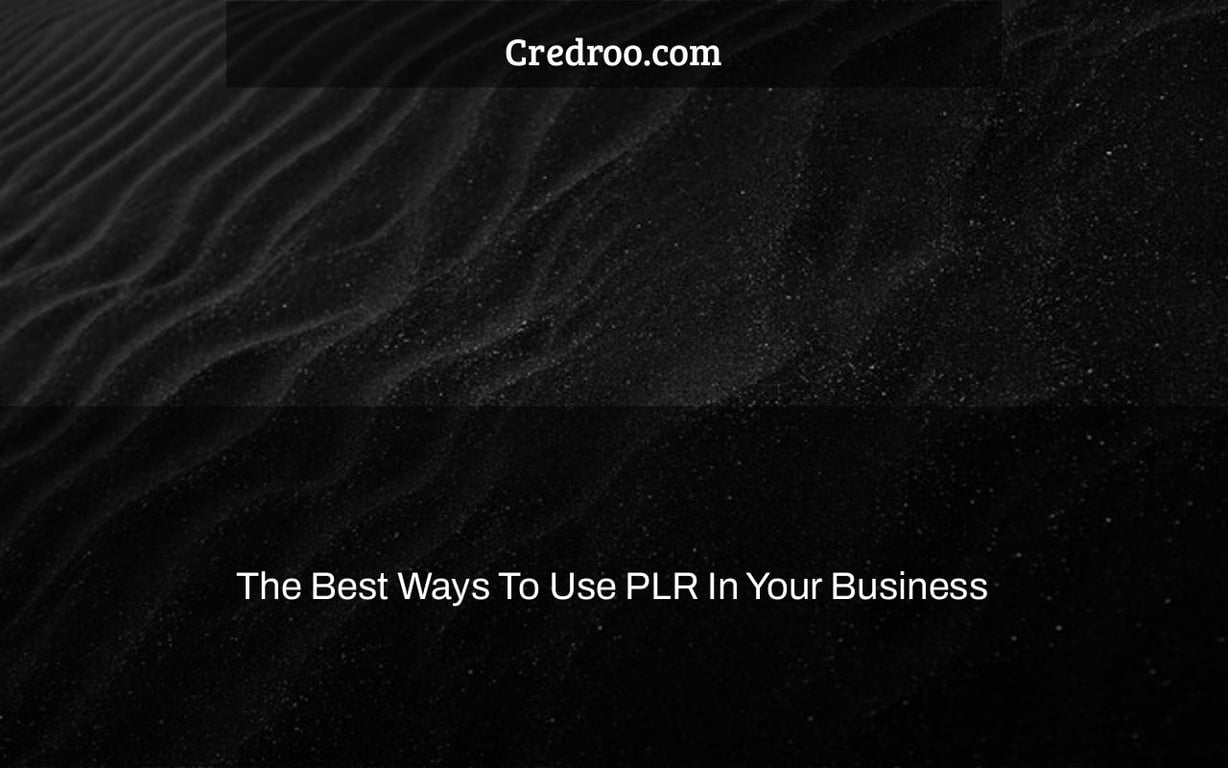 The Best Ways To Use PLR In Your Business