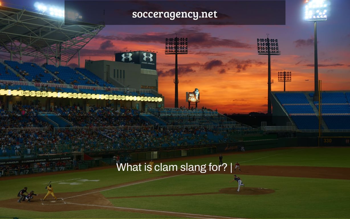 What is clam slang for? |