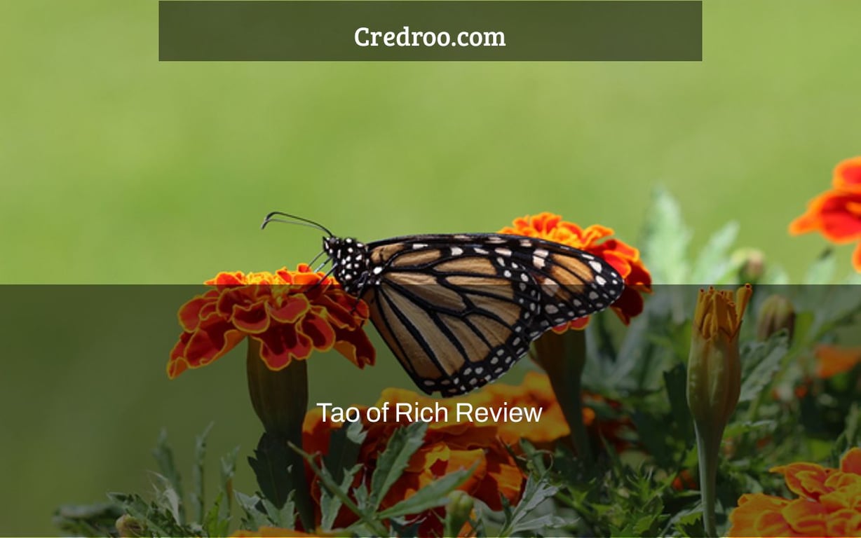 Tao of Rich Review
